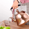 2L Whistling Kettle For Gas Stove Induction Cooker Stainless Steel Whistling Kettle Tea Kettle Water Bottle Coffee Tea Pot - Titanium